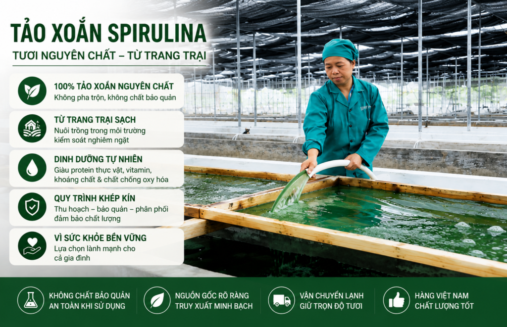 trang-trai-tao-xoan-spirulina